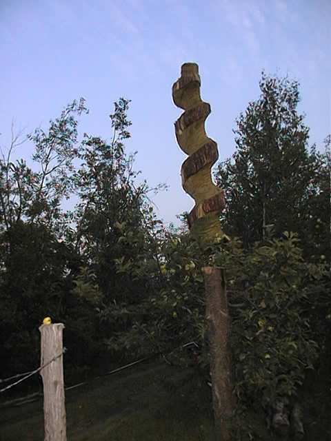 Image121