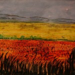 Paysages divers